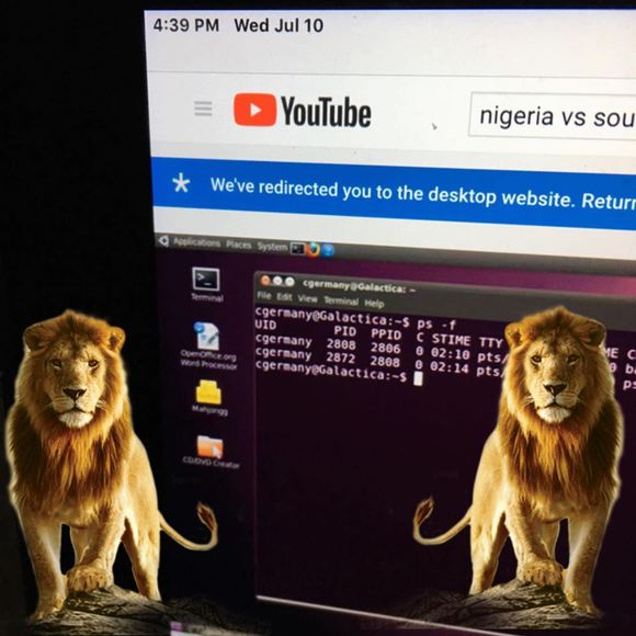 Meet your Posher, Hashim-kooshinh - Picture 1 of 1